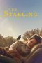 Nonton film The Starling (2021) Sub Indo Nonton film The Starling (2021) Sub Indo