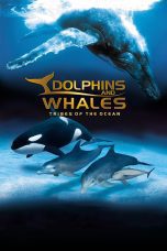 Nonton film IMAX Dolphins and Whales: Tribes of the Ocean (2008) Sub Indo