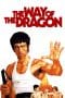 Nonton film The Way of the Dragon (1972) Sub Indo