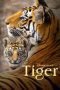 Nonton film Tiger (2024) Sub Indo Nonton film Tiger (2024) Sub Indo