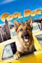 Nonton film Cool Dog (2010) Sub Indo Nonton film Cool Dog (2010) Sub Indo