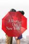 Nonton film A Rainy Day in New York (2019) Sub Indo Nonton film A Rainy Day in New York (2019) Sub Indo