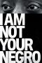 Nonton film I Am Not Your Negro (2017) Sub Indo