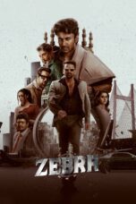 Nonton film Zebra (2024) Sub Indo